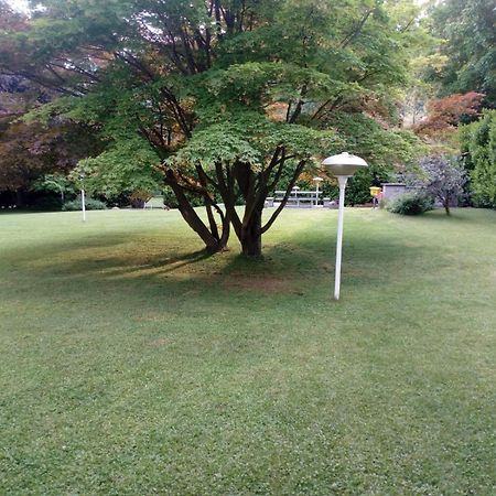 Villa Alice レーザ エクステリア 写真